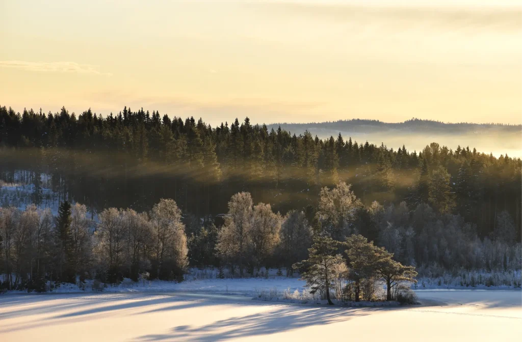 Nordiska Stil bakgrundsbild guld himmel över Skålsjön
