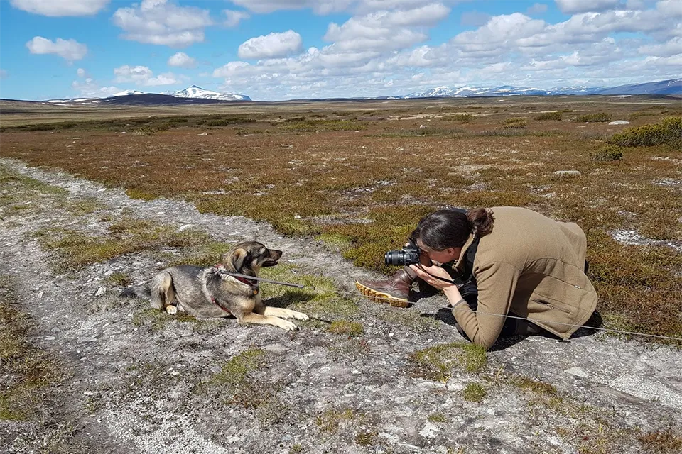 Fotograf tar bild av hund på fjällen - Bild av Nathalie de Groot nordiskastil.se