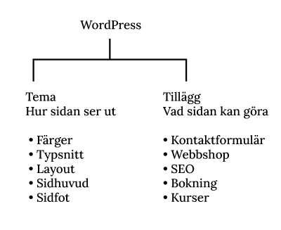 WordPress schema